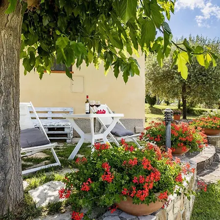 Sofia Casole dʼElsa